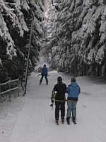 Downhill skiing Jedlov